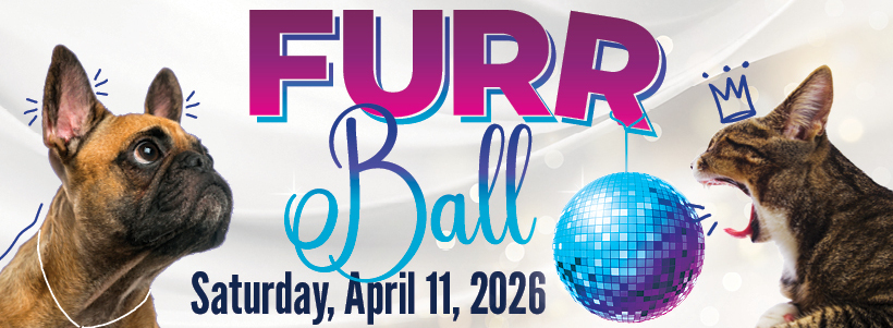 FURR Ball 2026